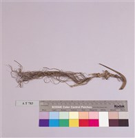 藏品(髮簪)的圖片